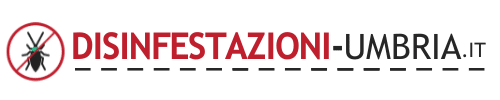 logo-disinfestazioni-umbria black