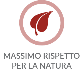 icona rispetto natura