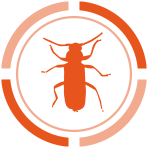 Icona Antitarlo